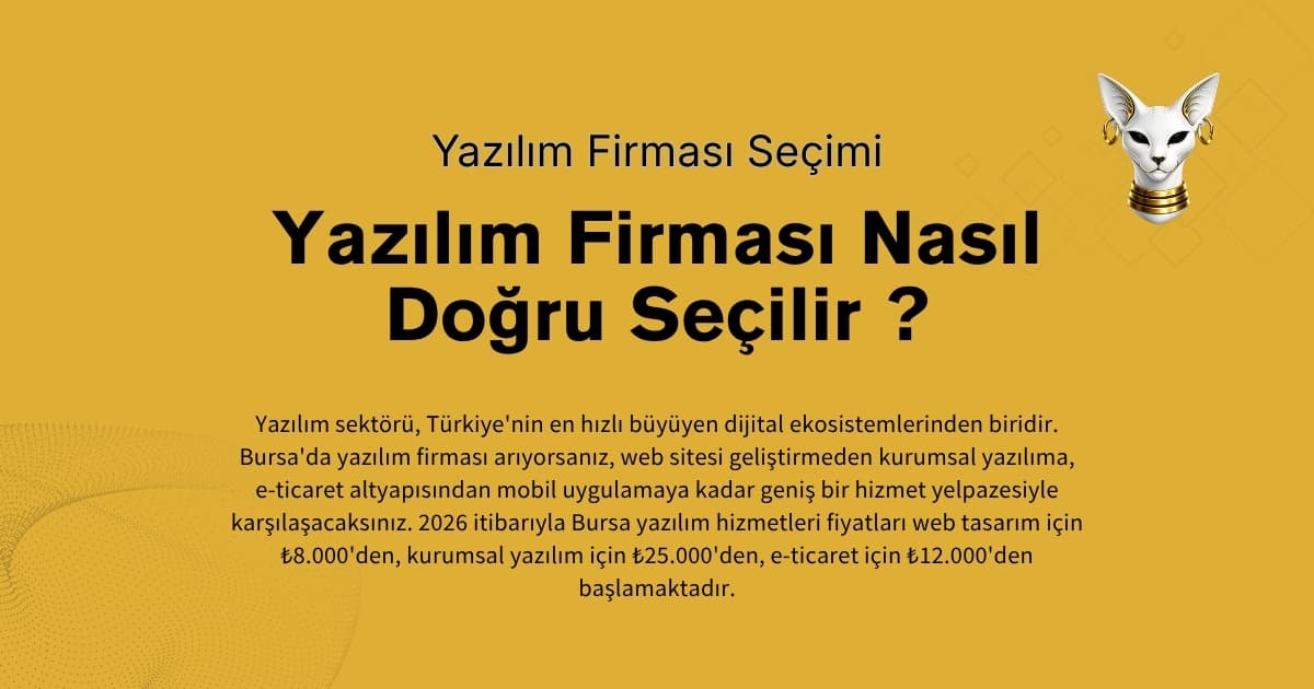 bursa yazılım firması nasıl seçilir rehberi